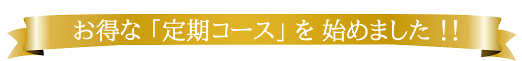 定期コース